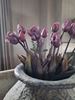 Afbeelding van Bosje kunst tulpen Blue Parrot roze